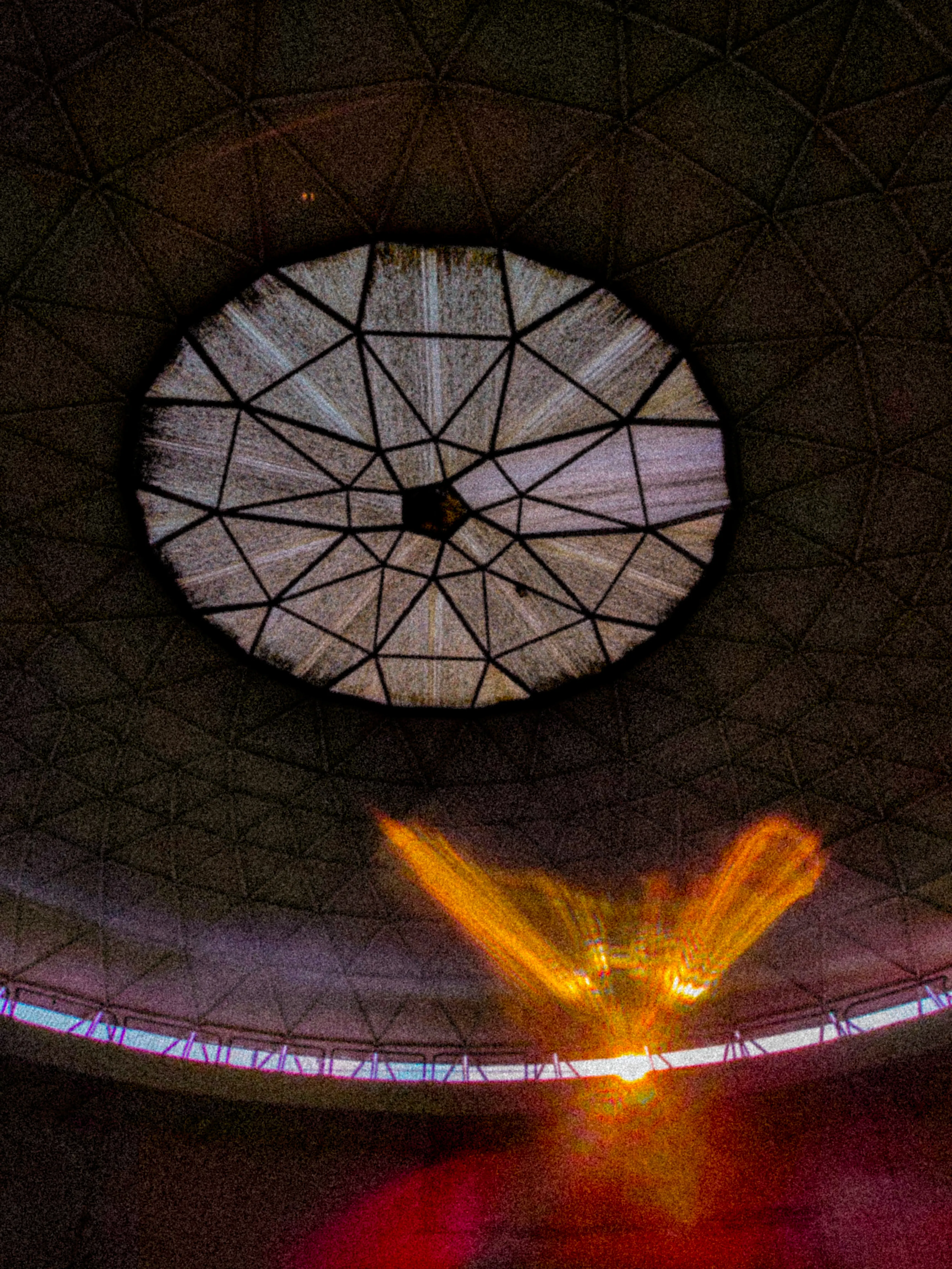 Descripción de la foto