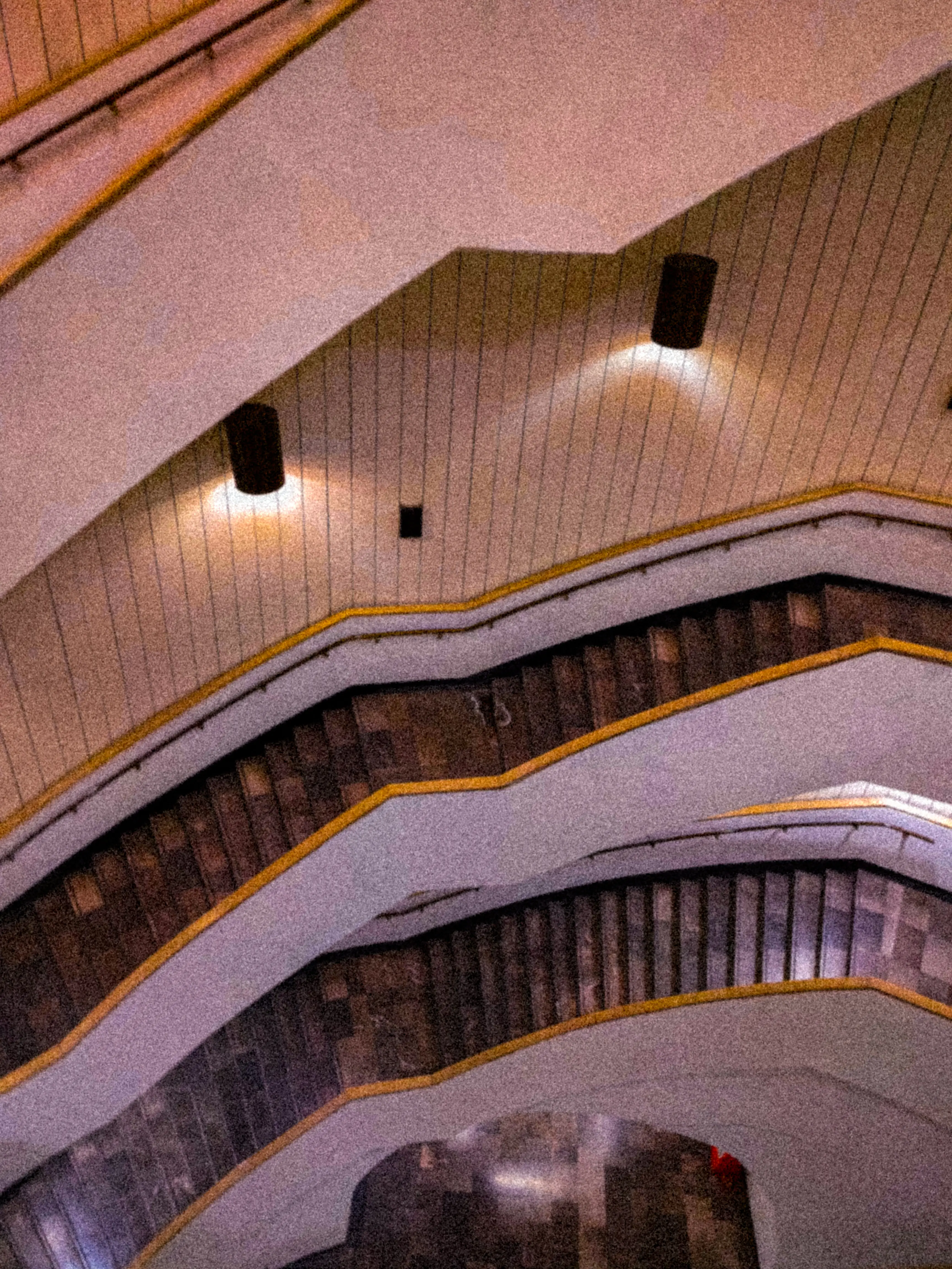 Descripción de la foto