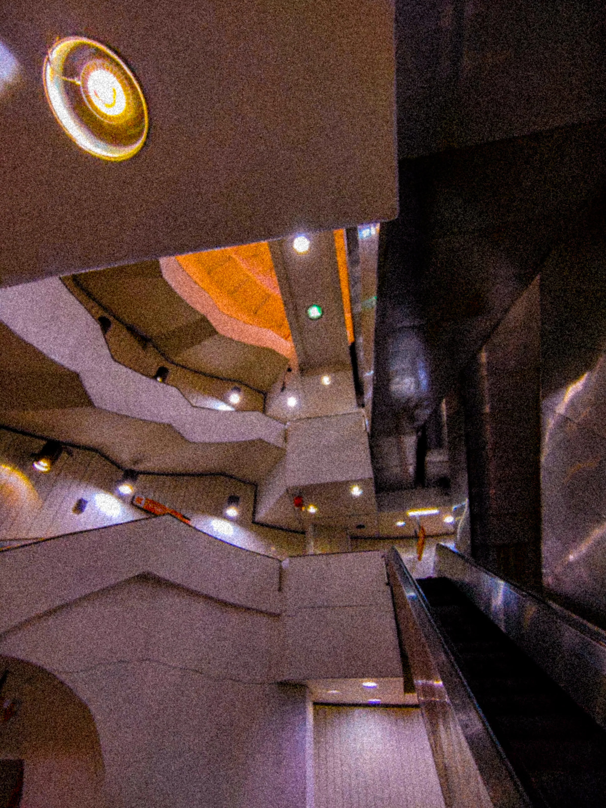 Descripción de la foto