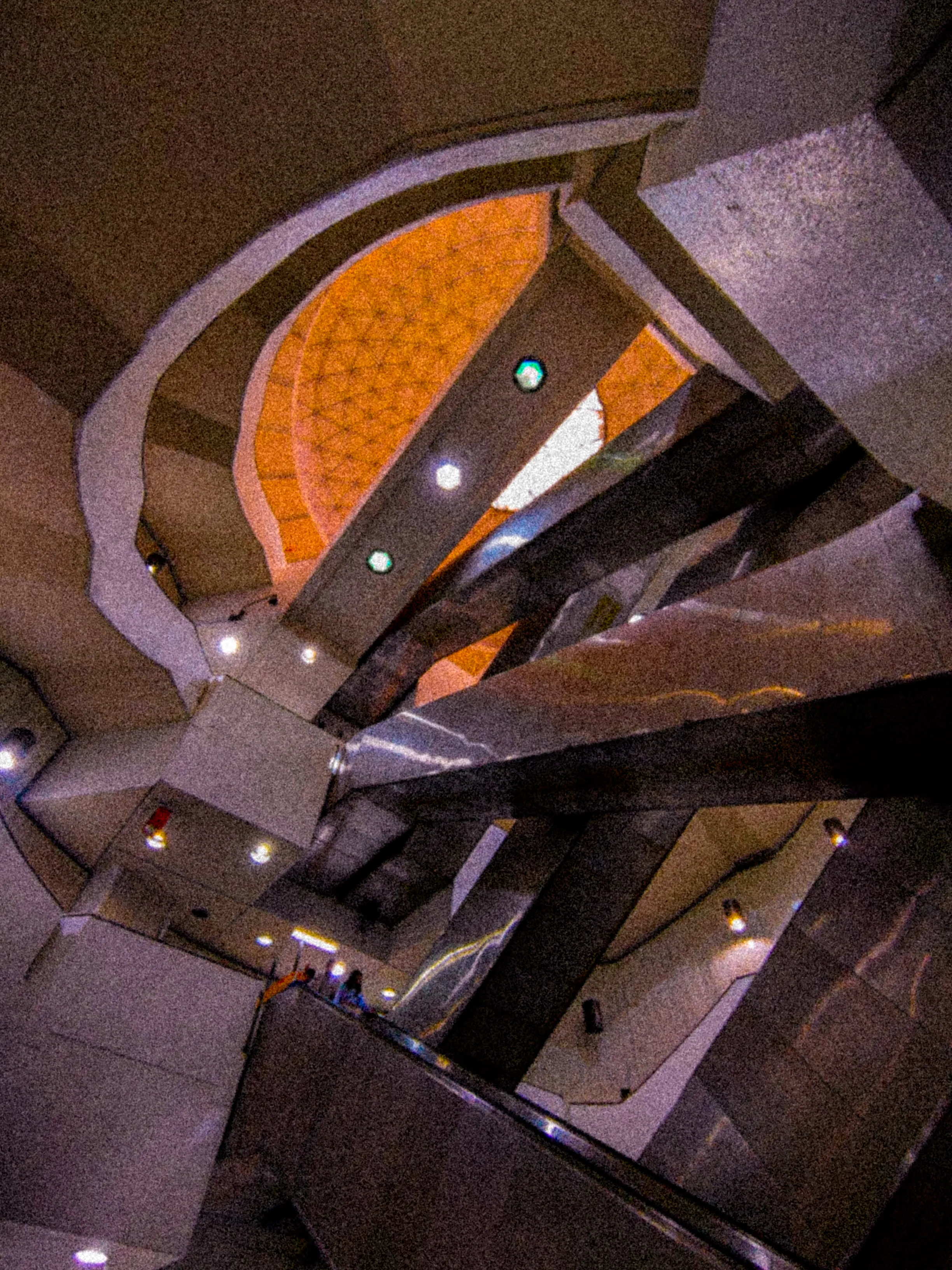 Descripción de la foto