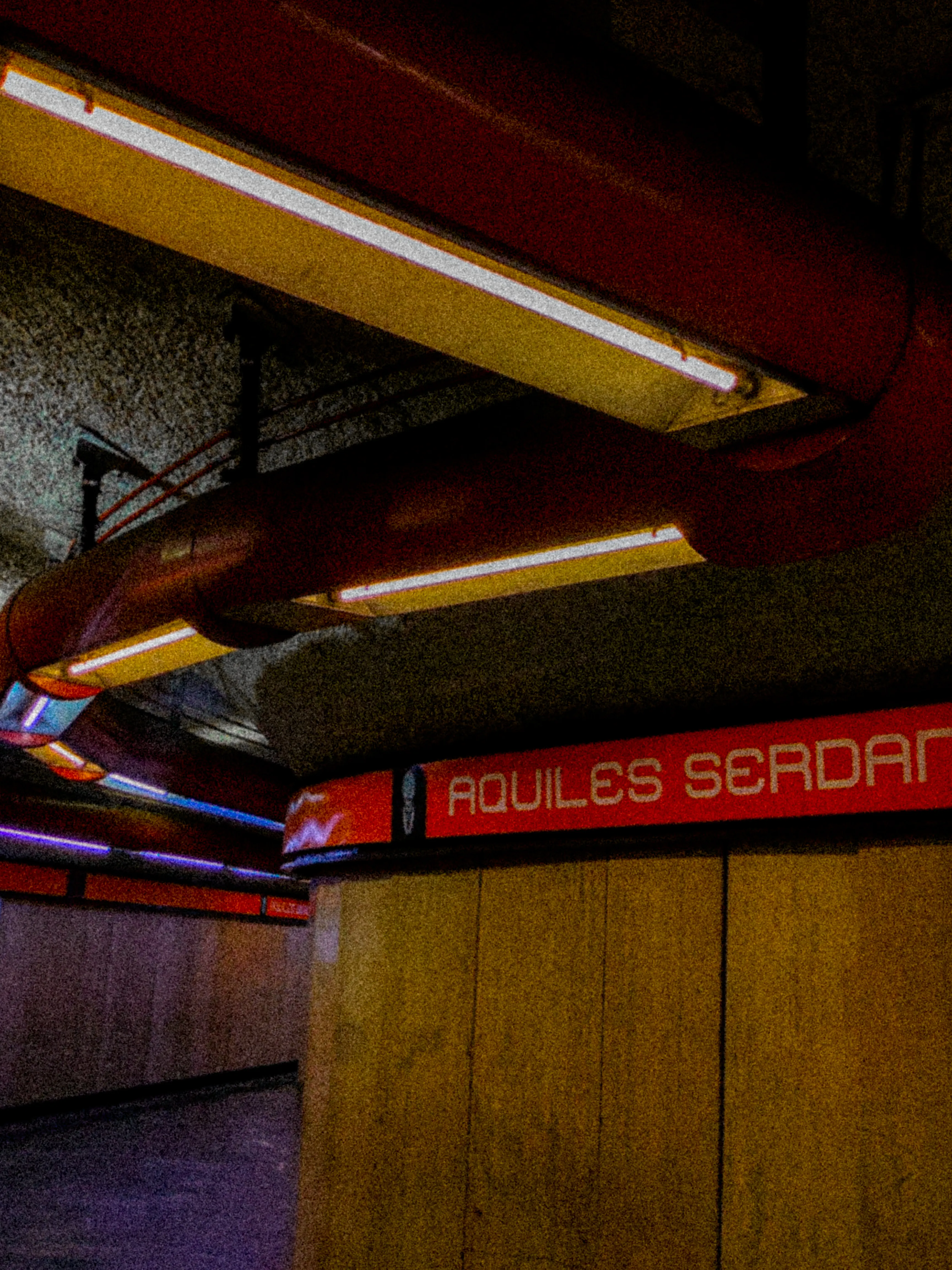 Descripción de la foto