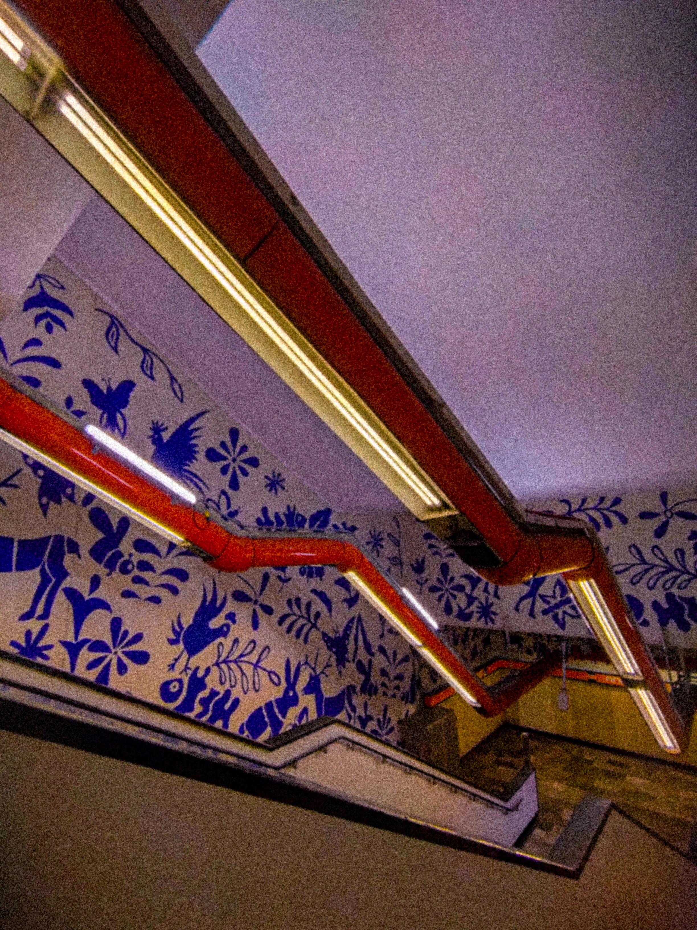 Descripción de la foto