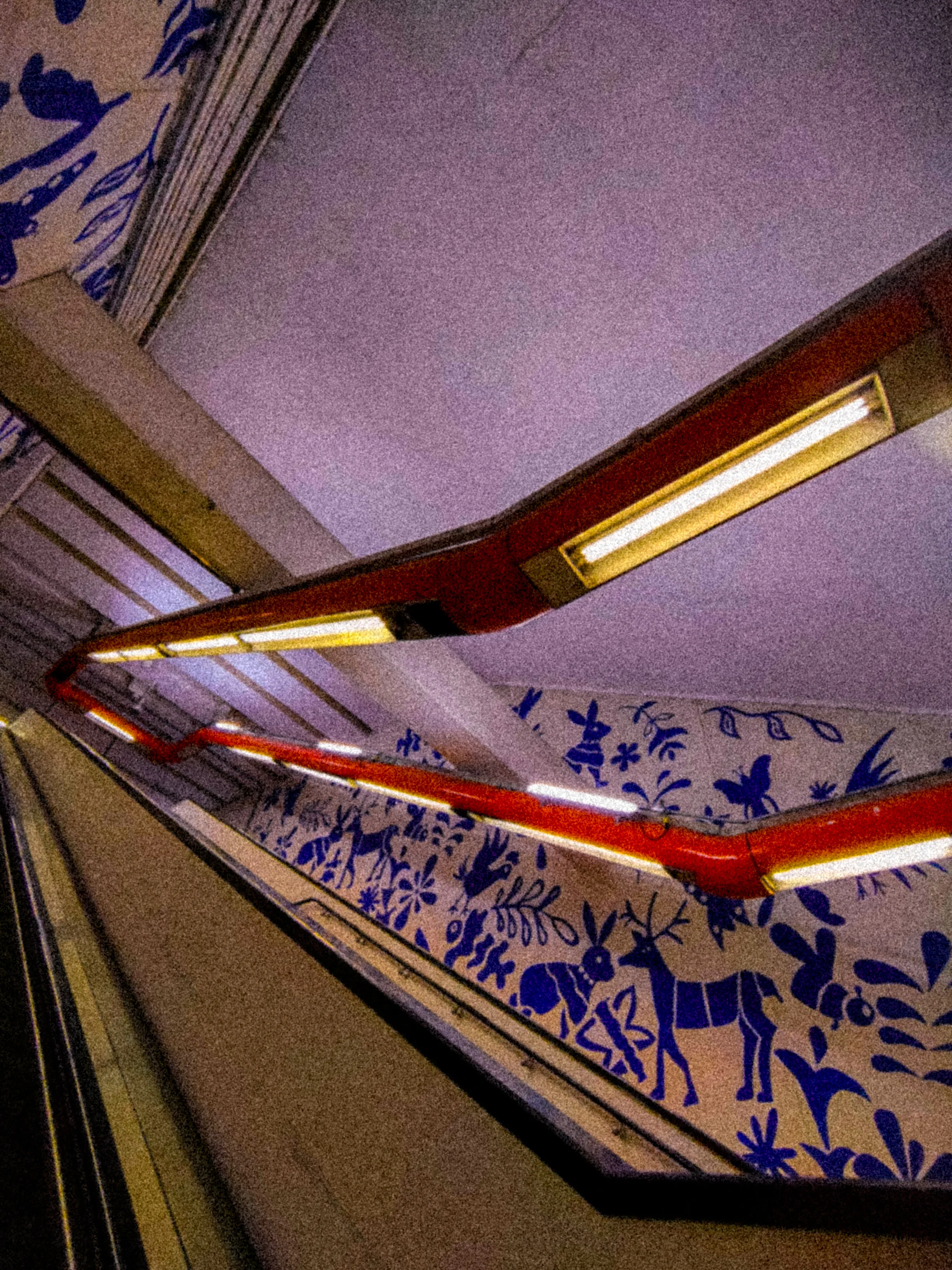 Descripción de la foto