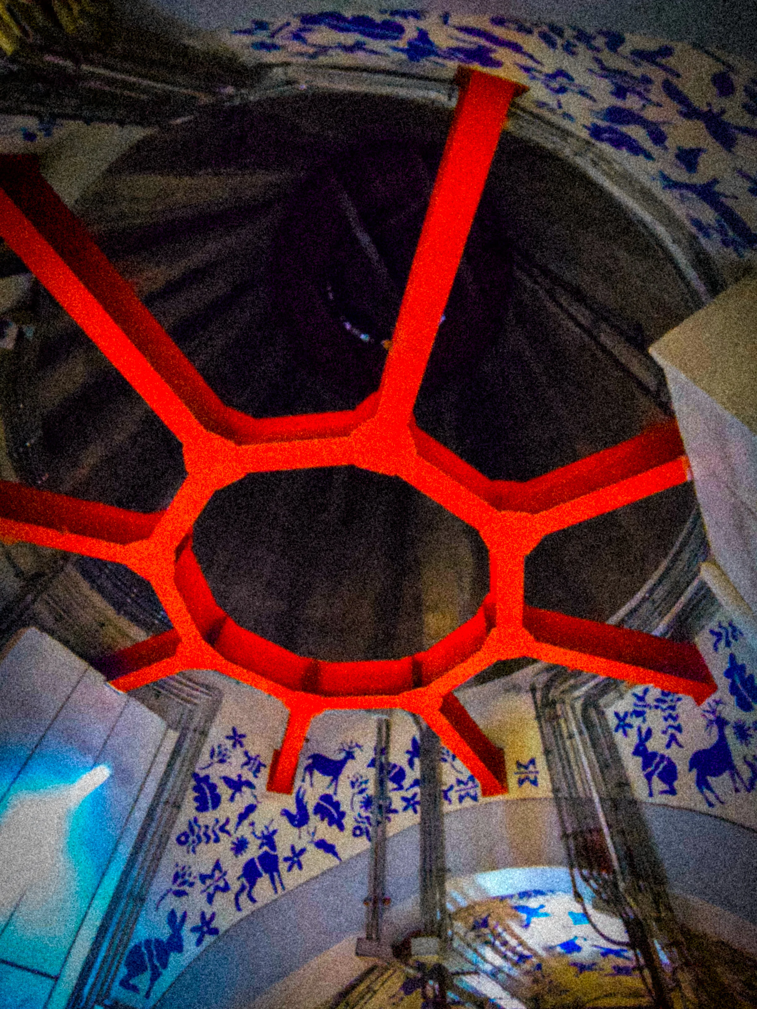 Descripción de la foto