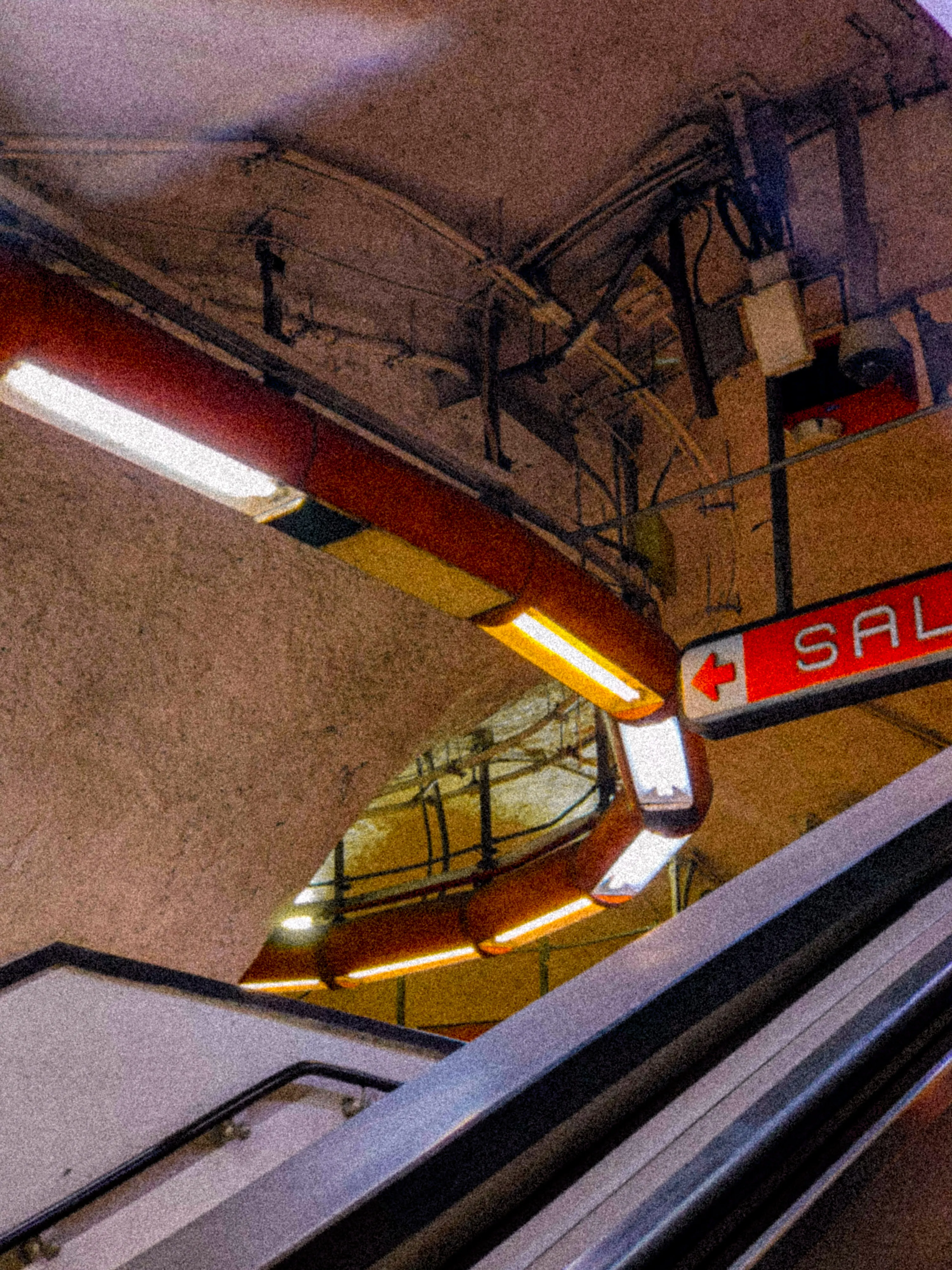 Descripción de la foto