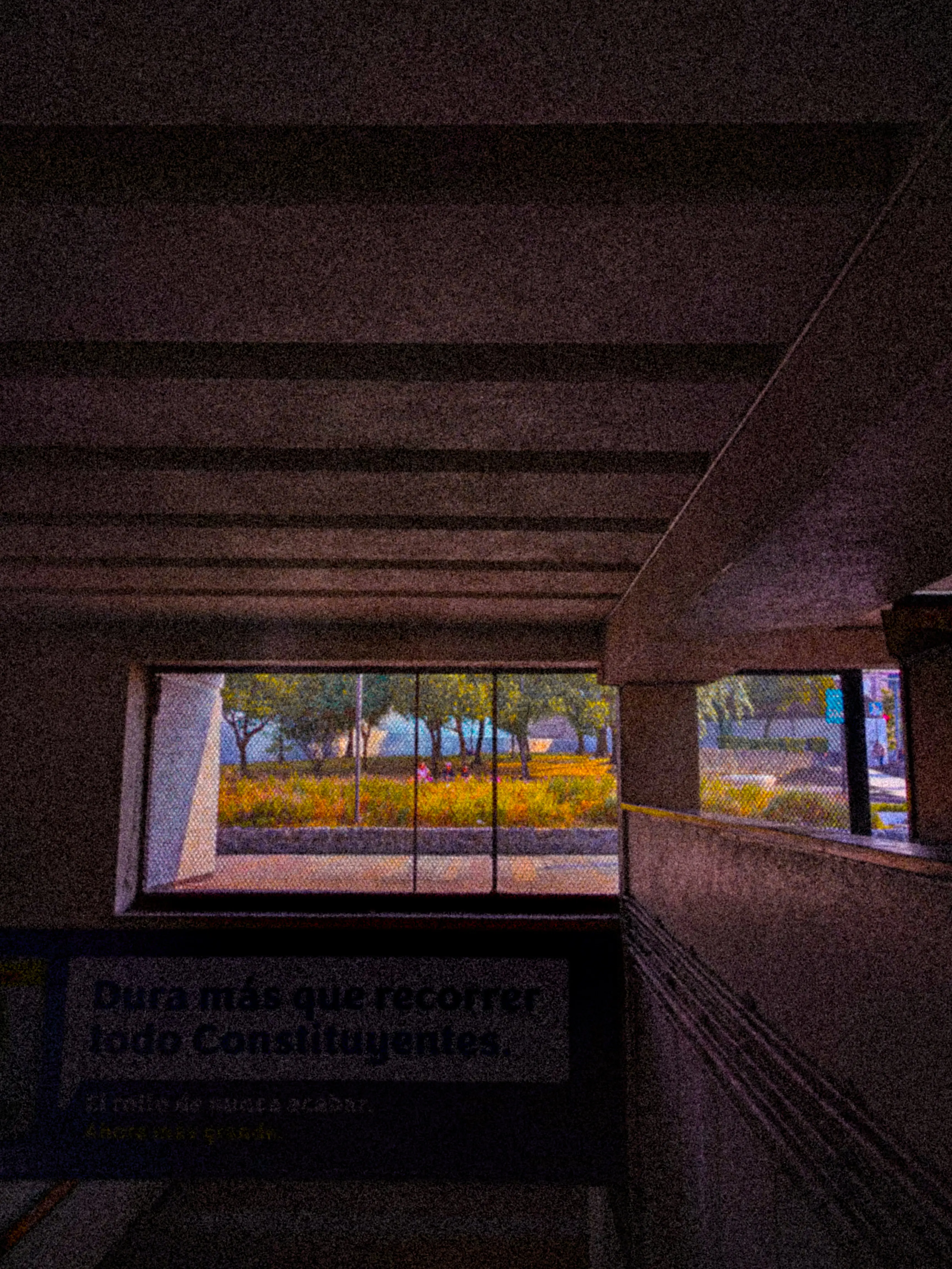 Descripción de la foto