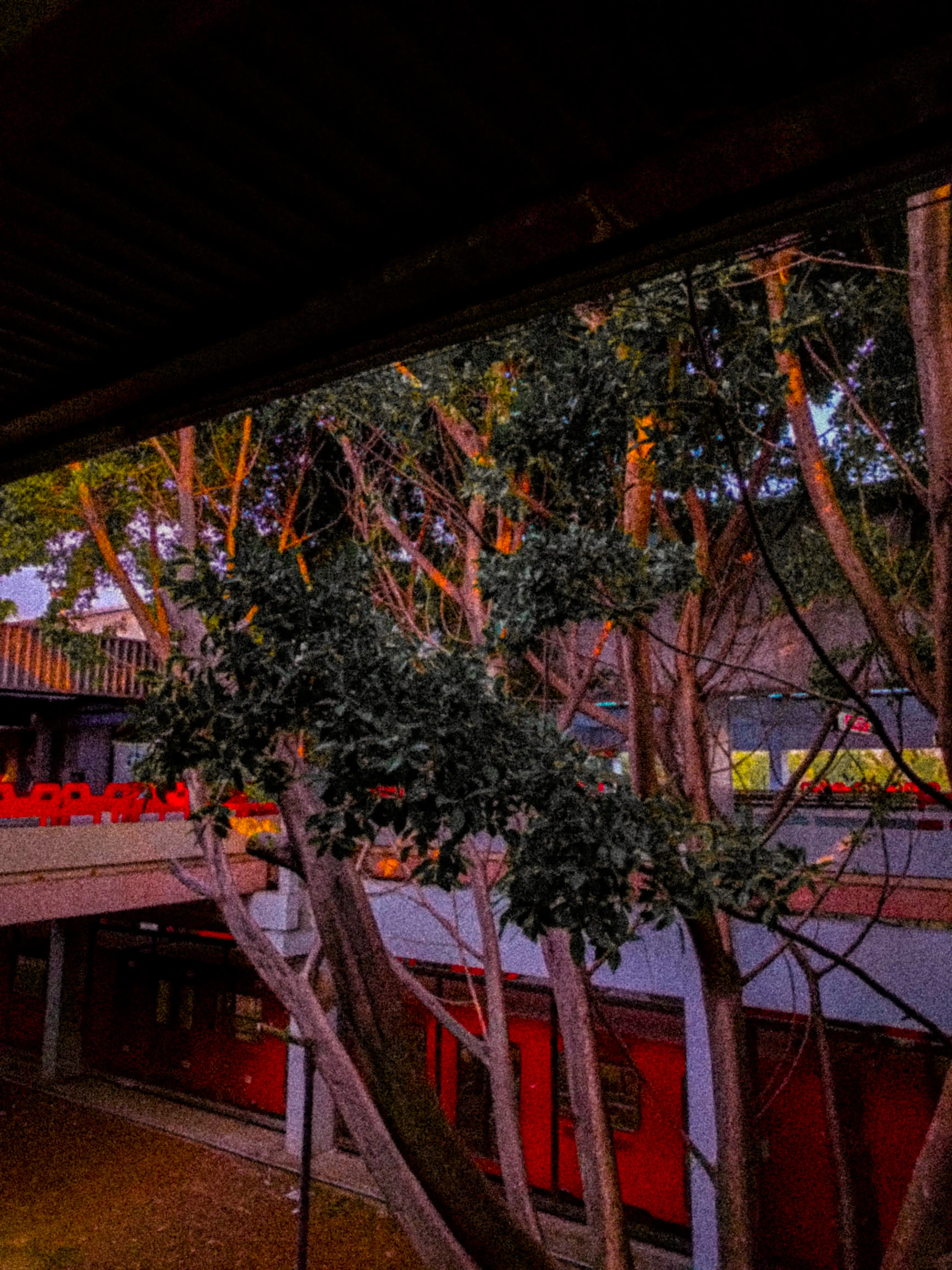 Descripción de la foto