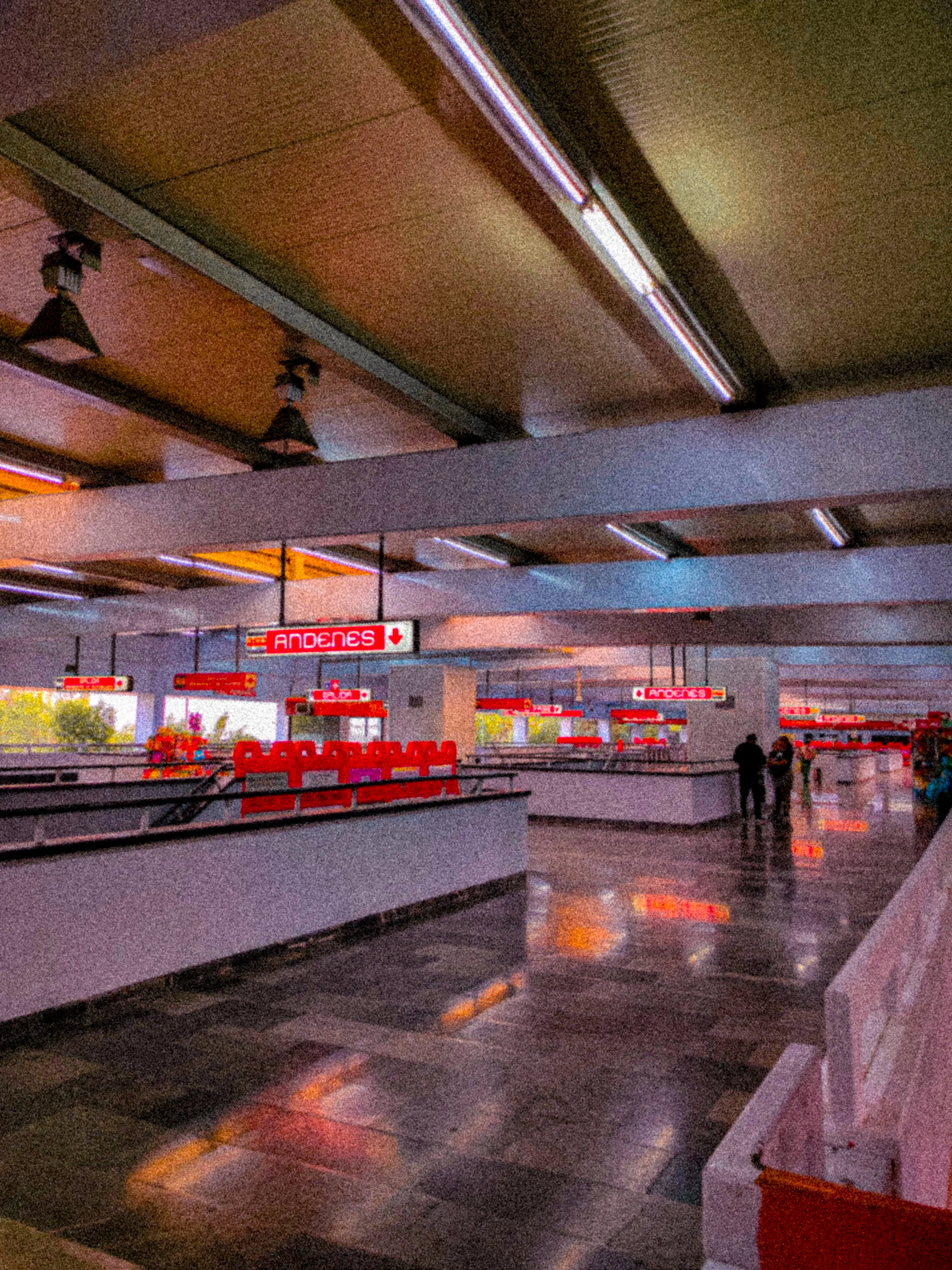 Descripción de la foto