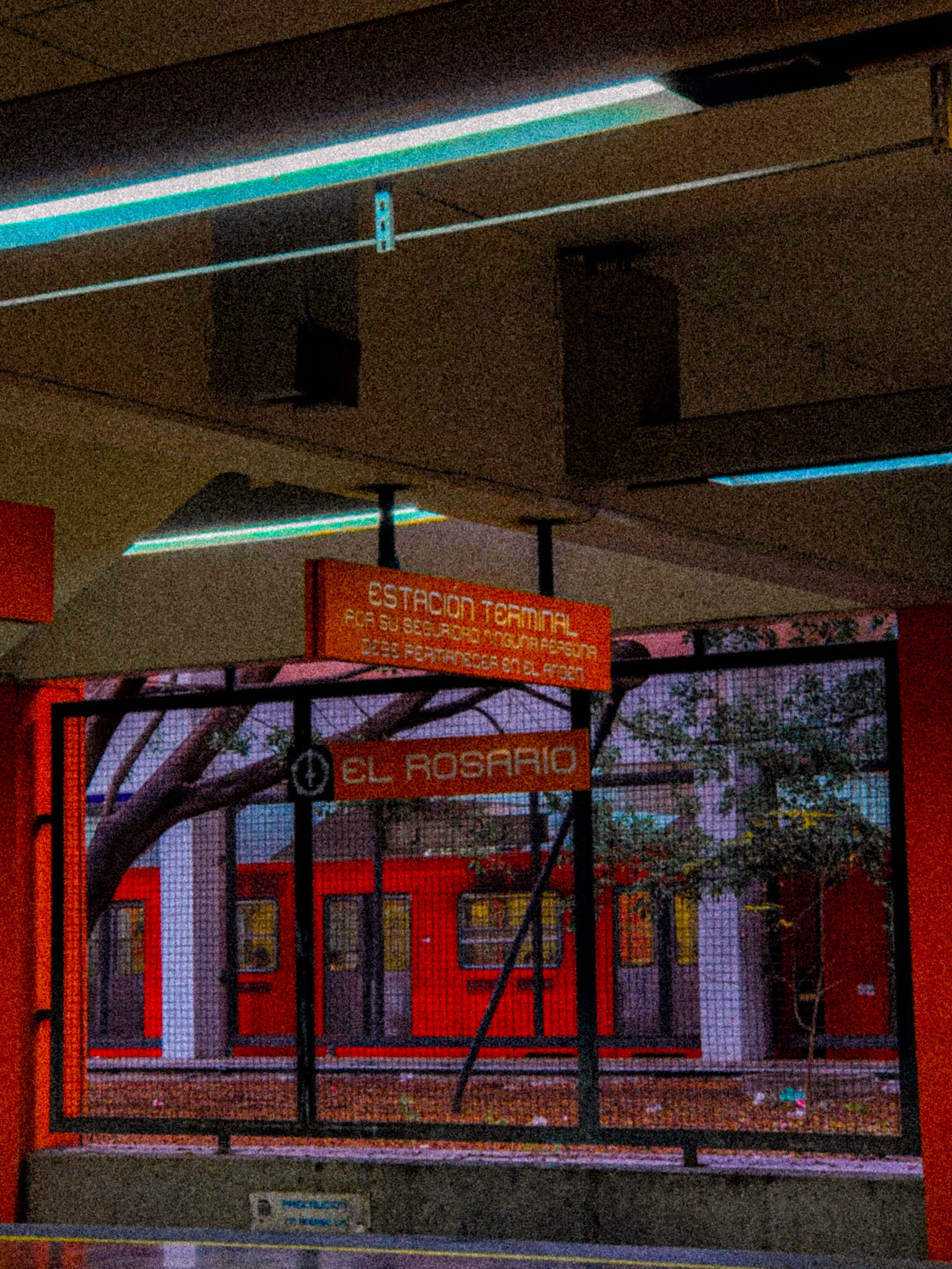 Descripción de la foto