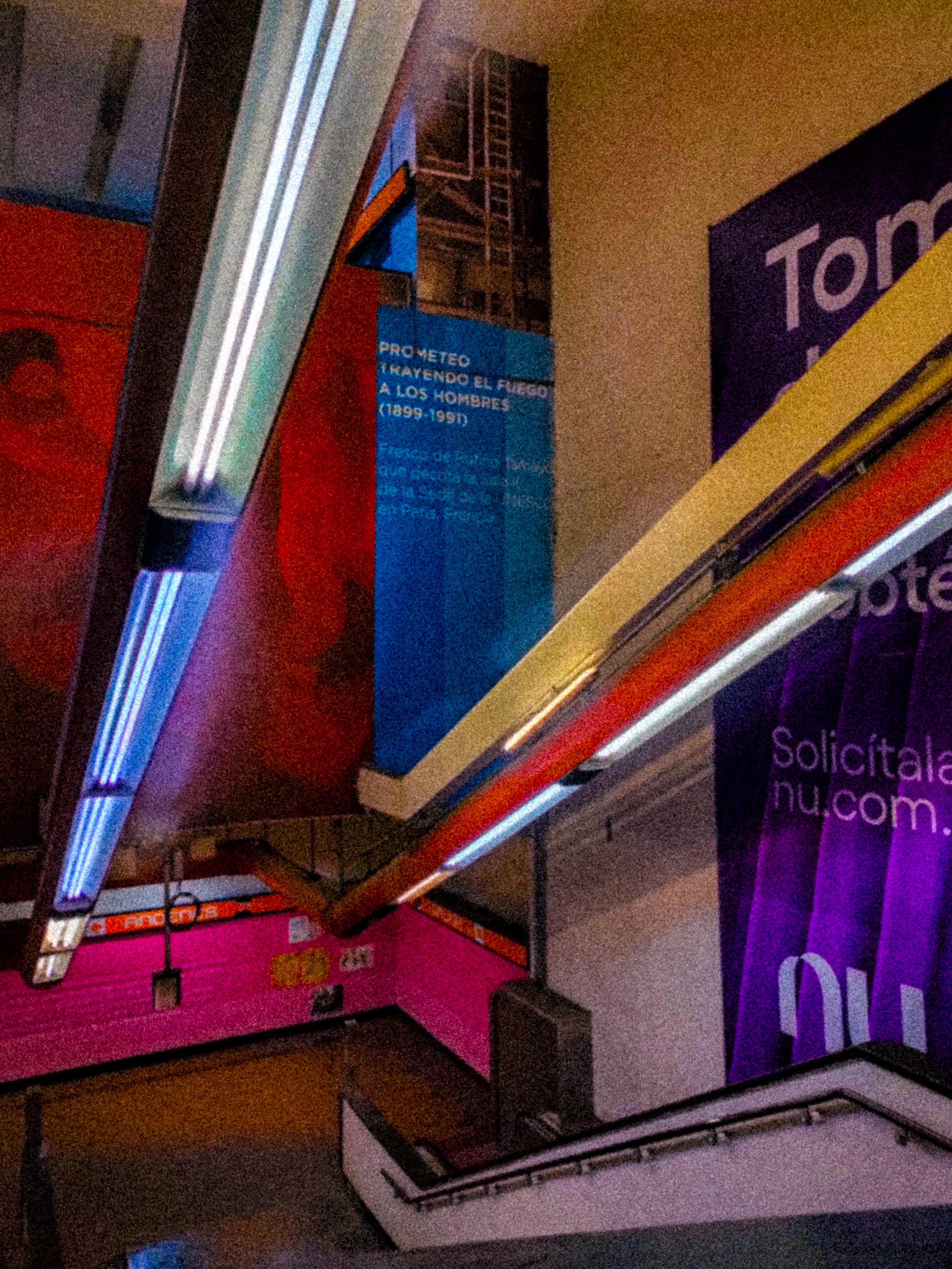 Descripción de la foto