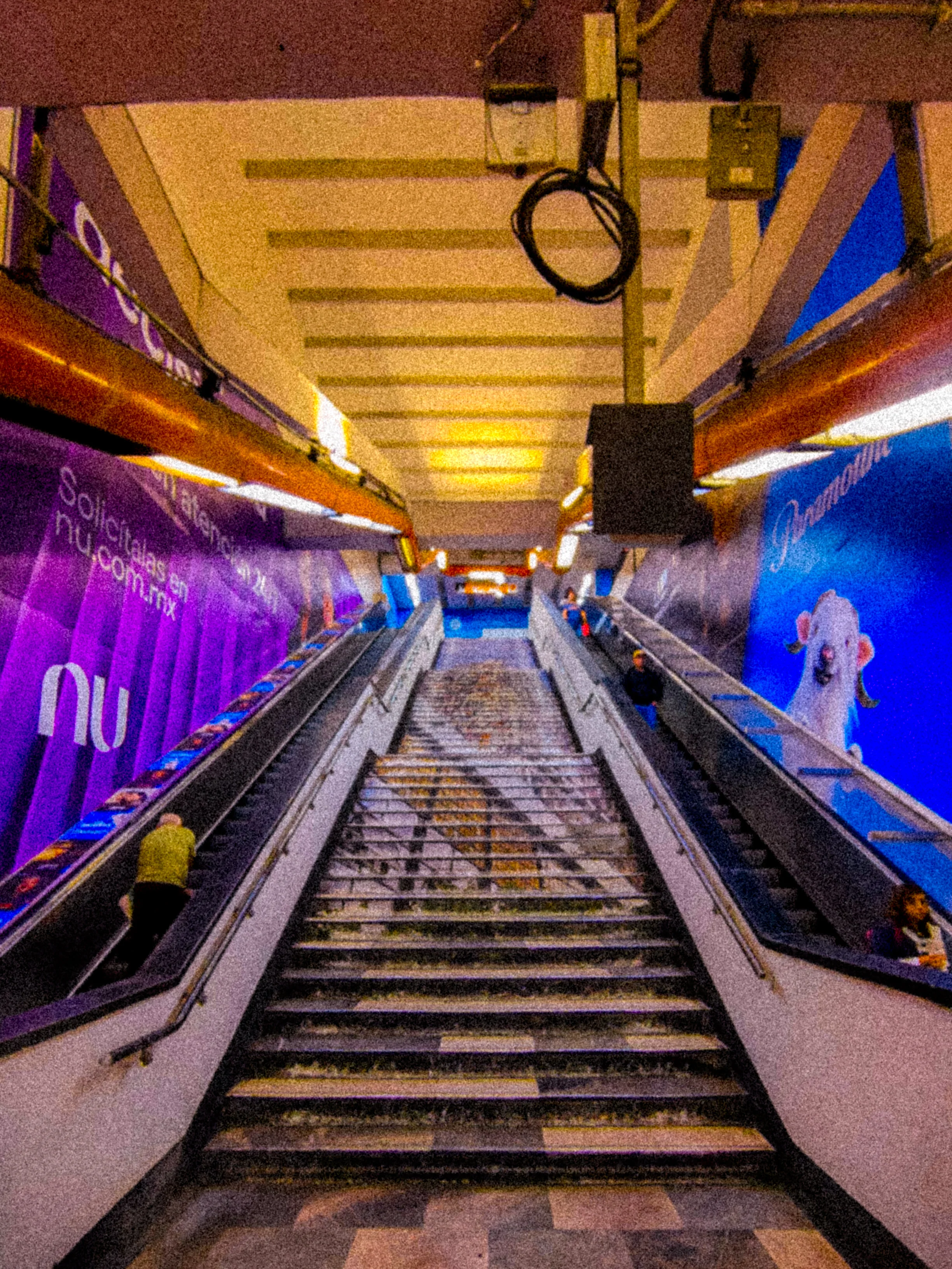 Descripción de la foto