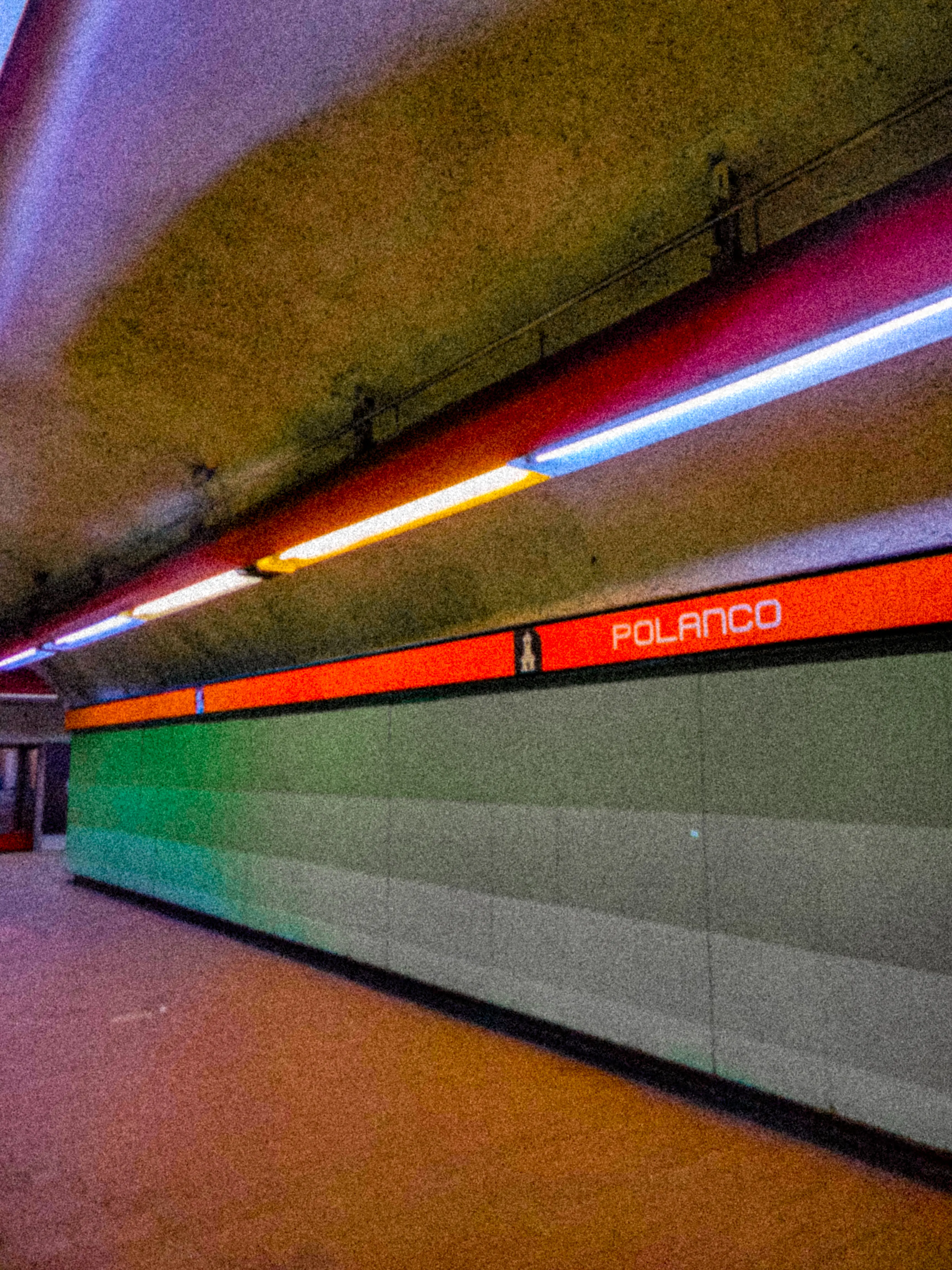 Descripción de la foto