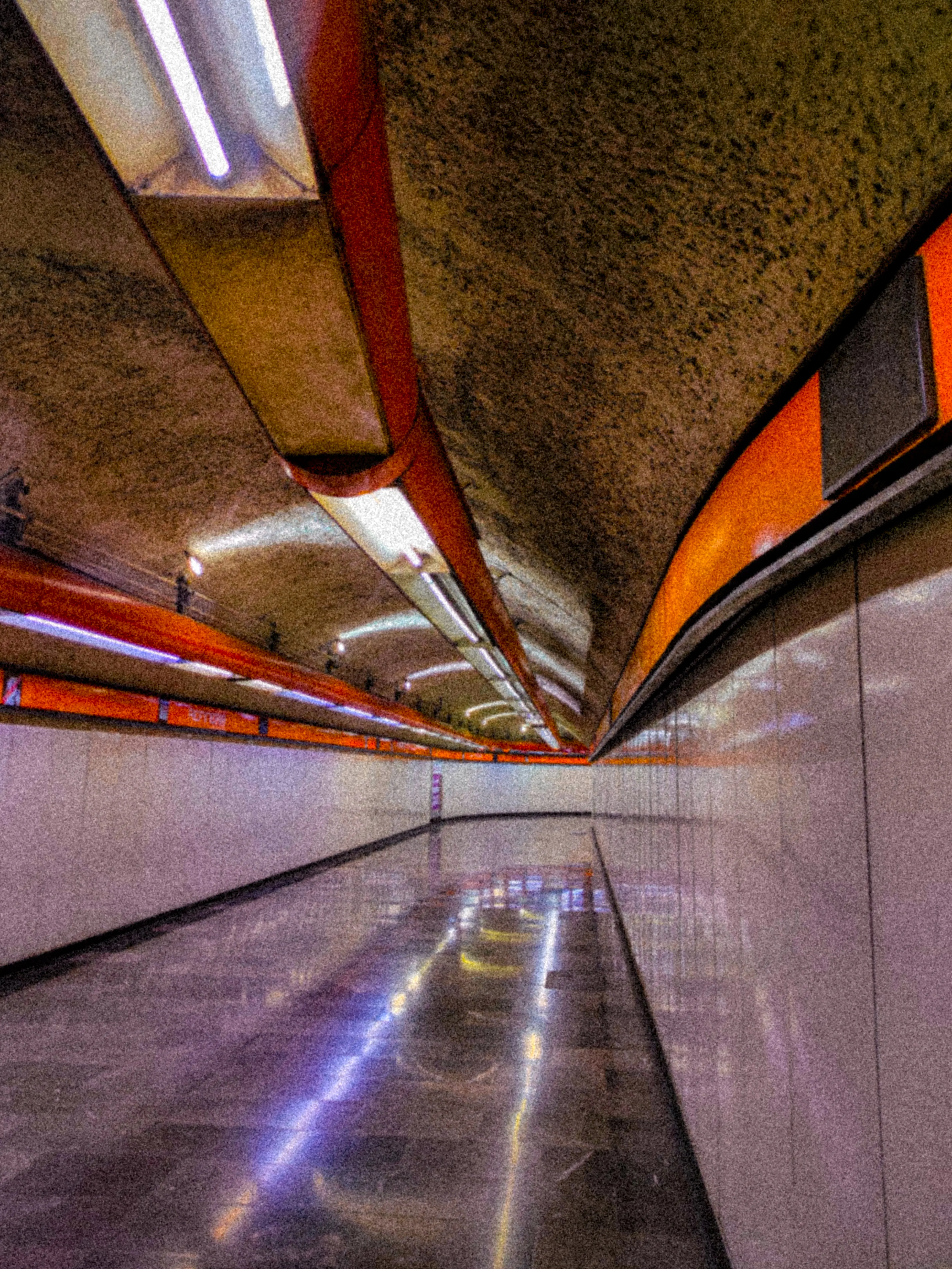 Descripción de la foto