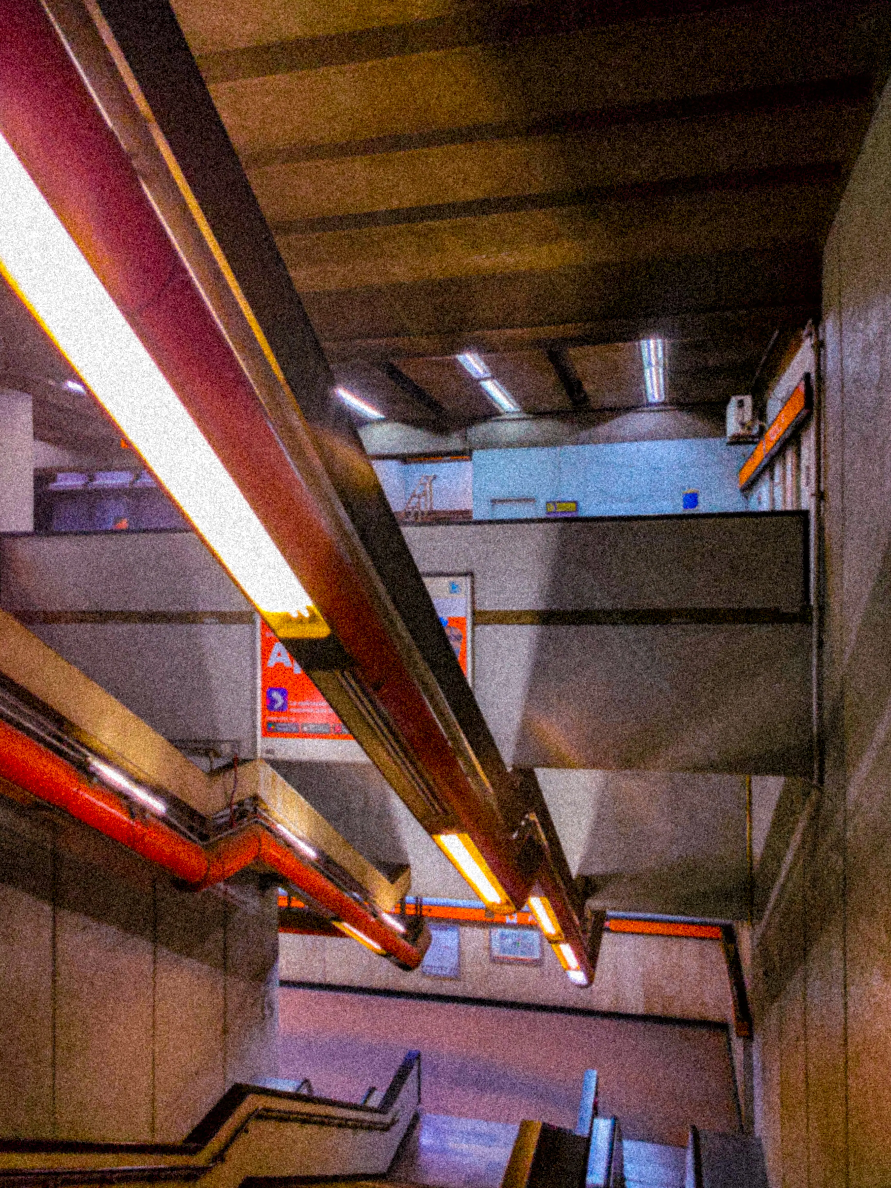 Descripción de la foto