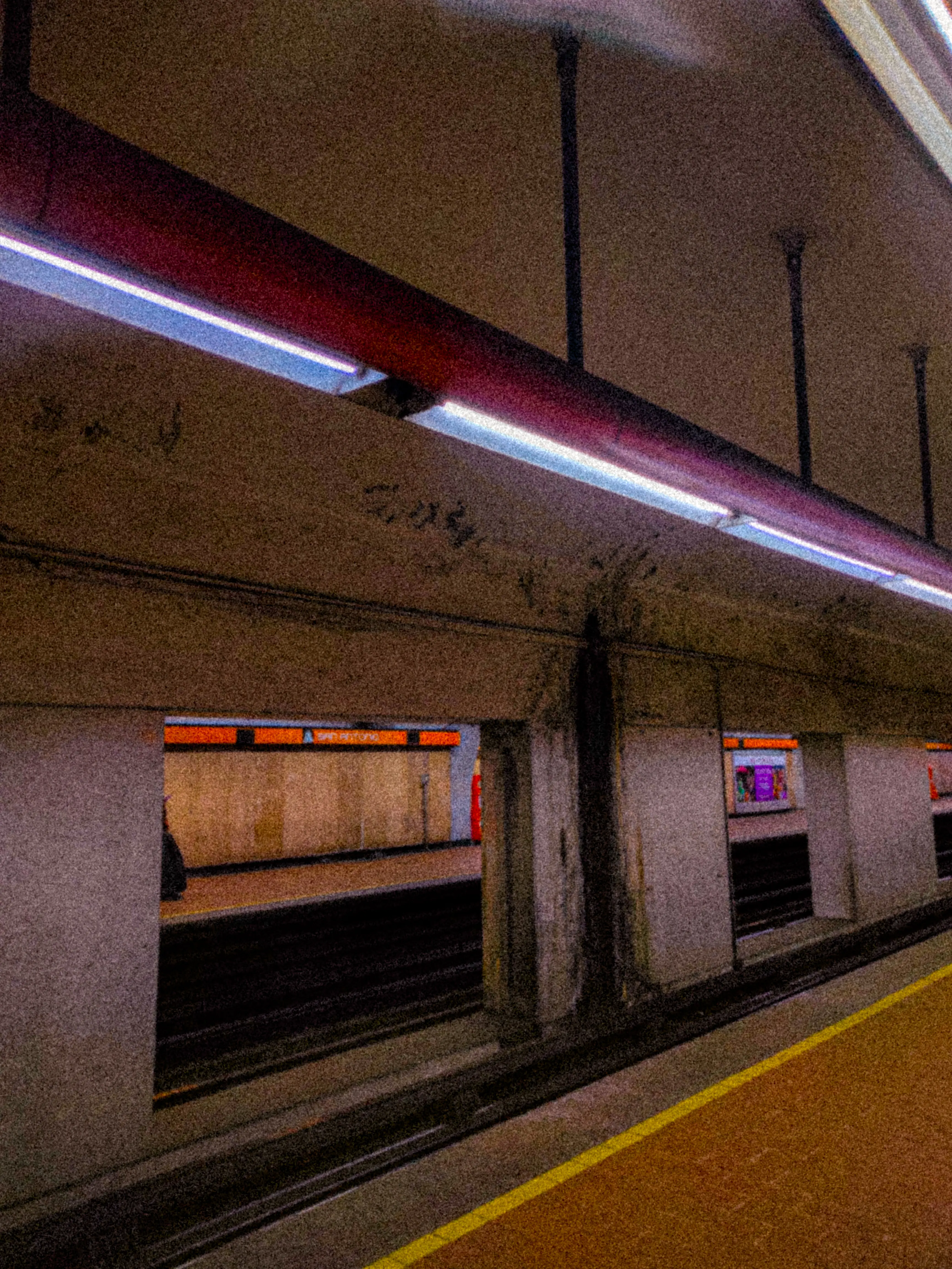 Descripción de la foto