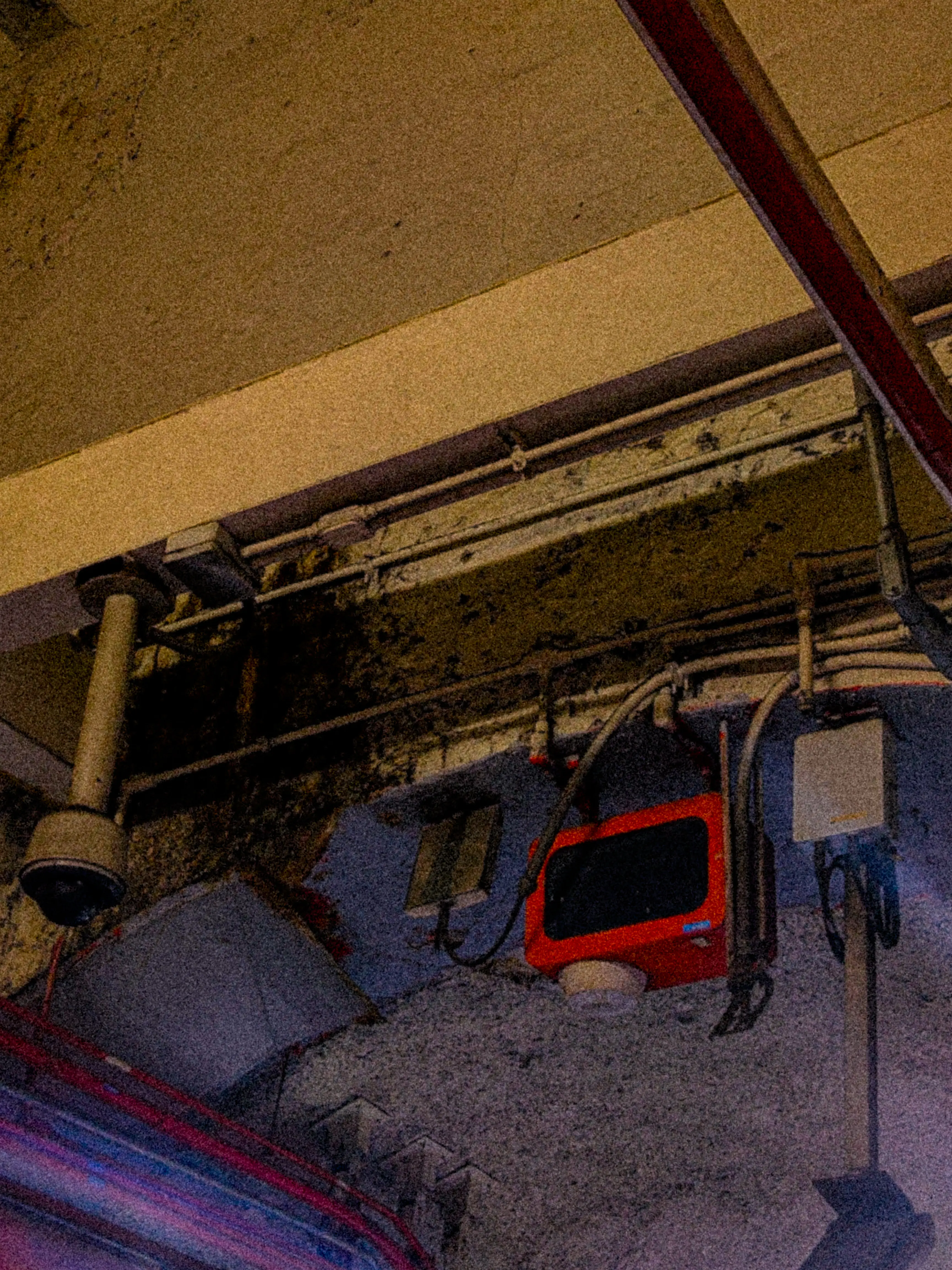 Descripción de la foto