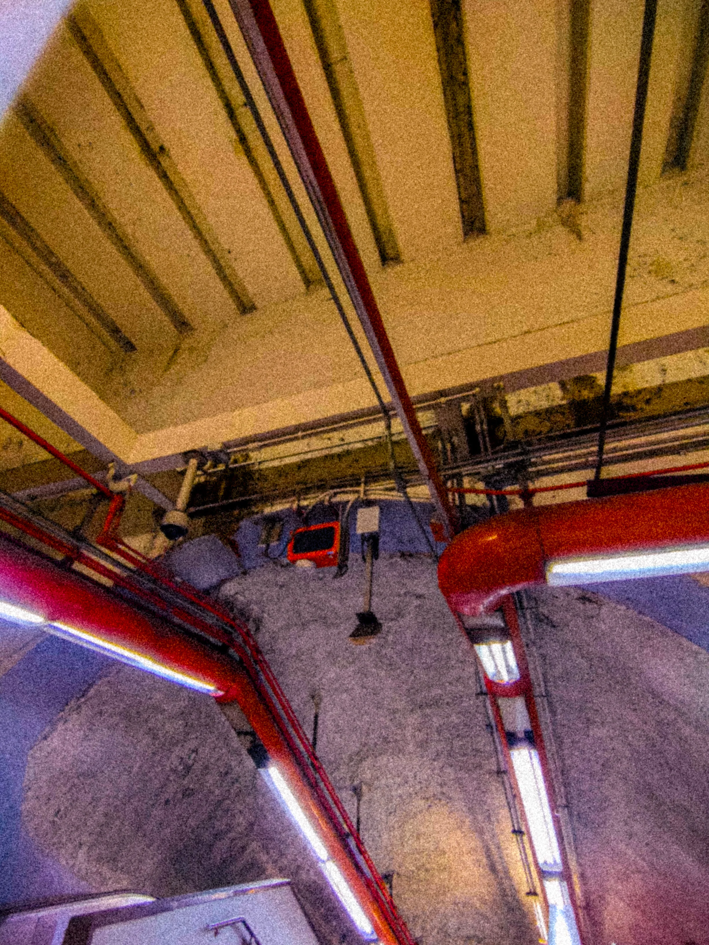 Descripción de la foto