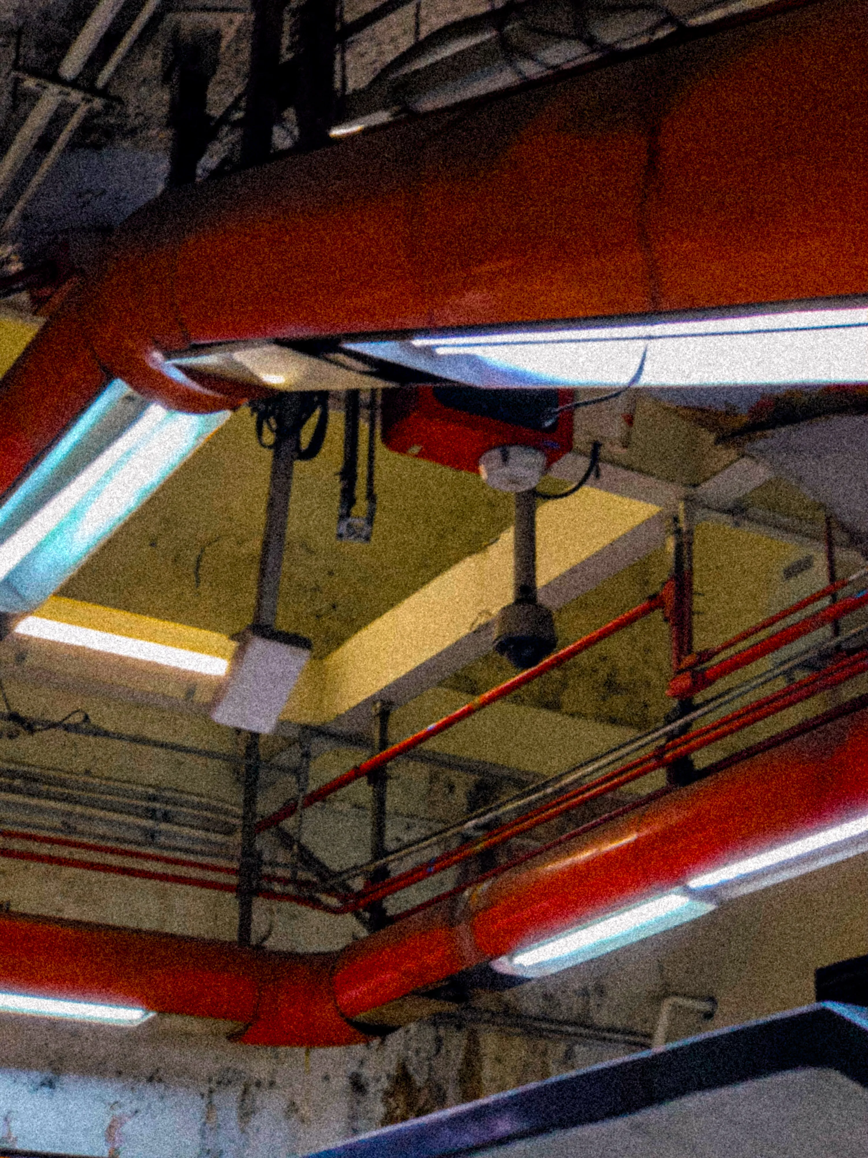 Descripción de la foto