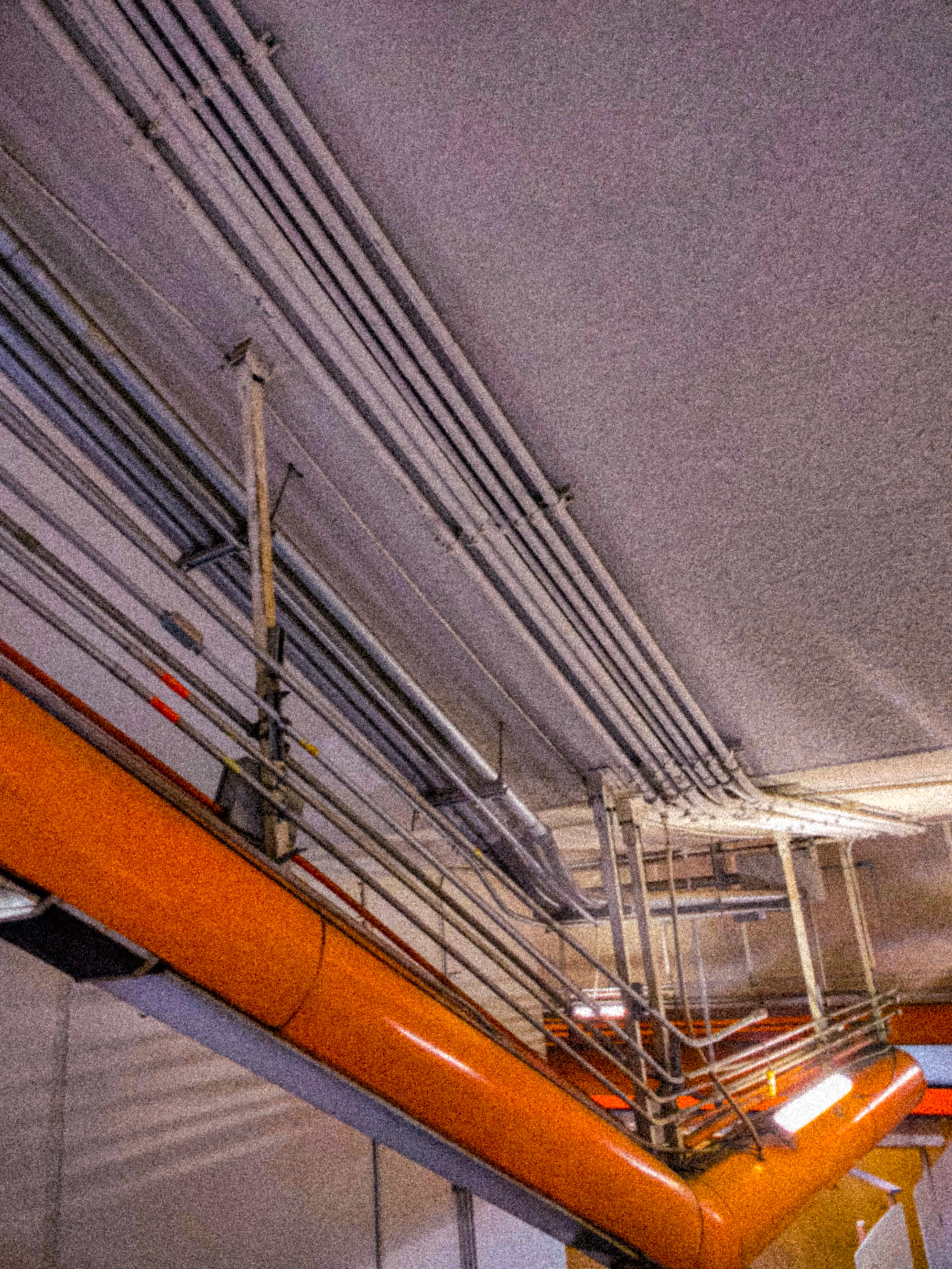 Descripción de la foto