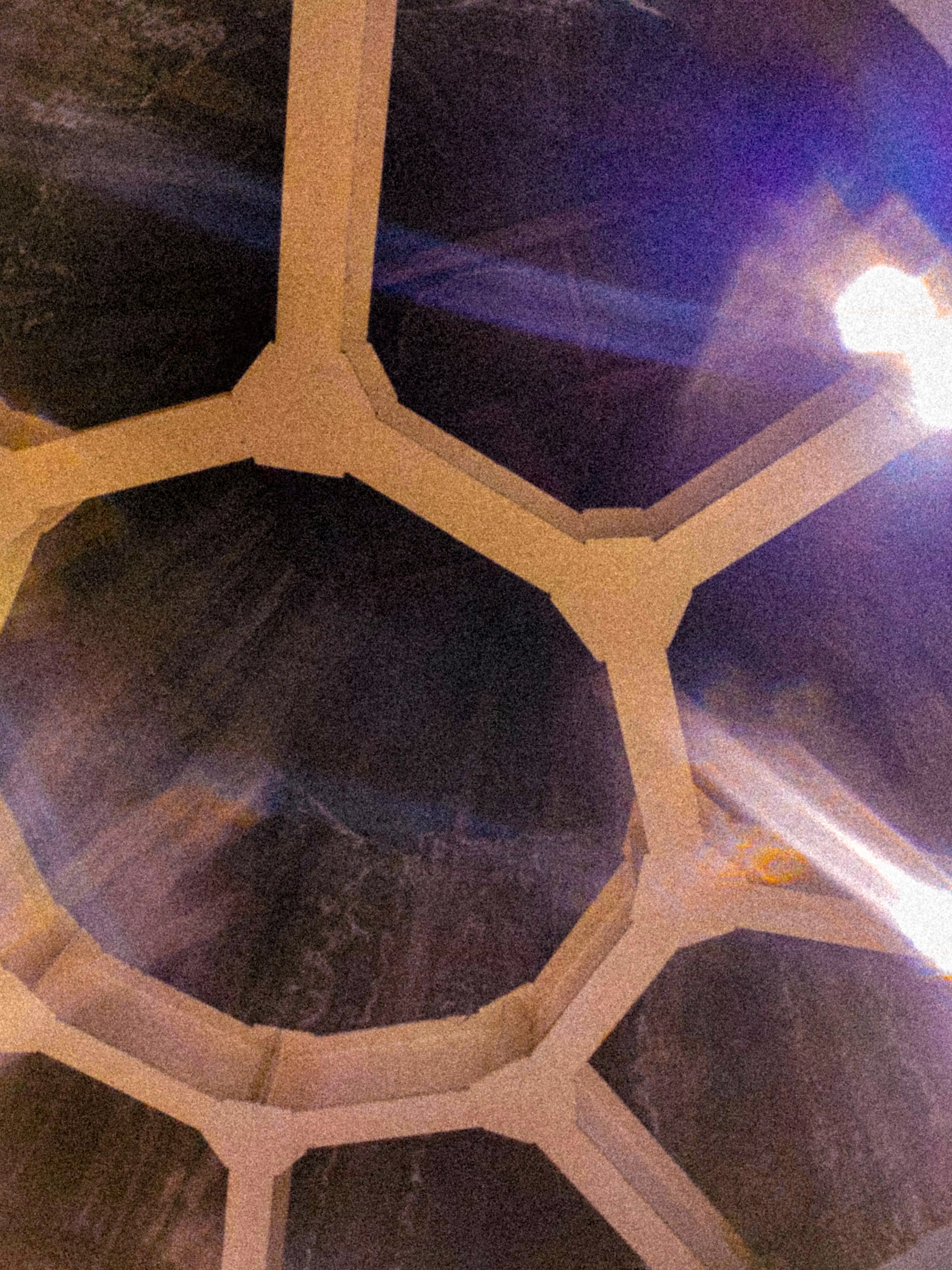 Descripción de la foto