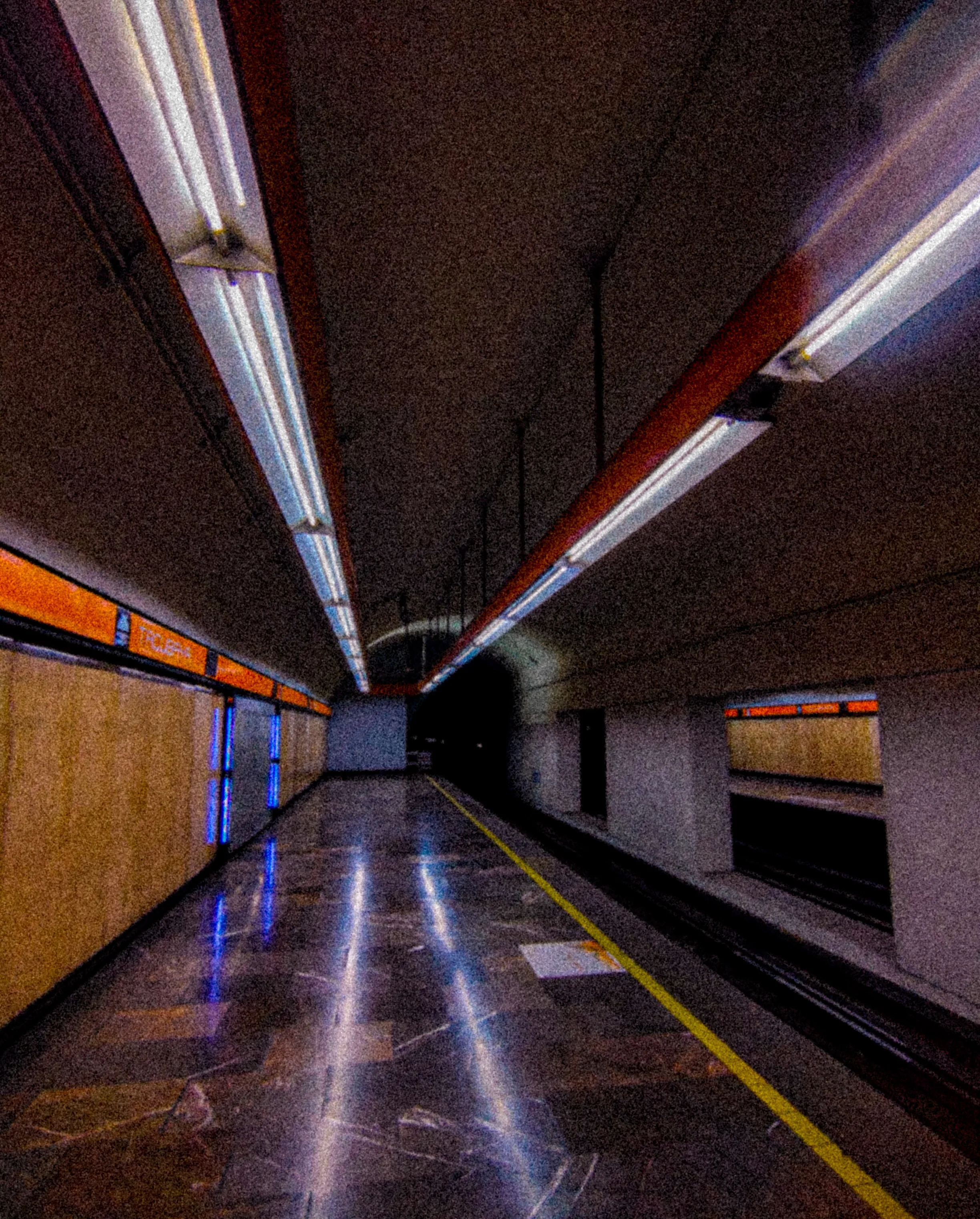 Descripción de la foto