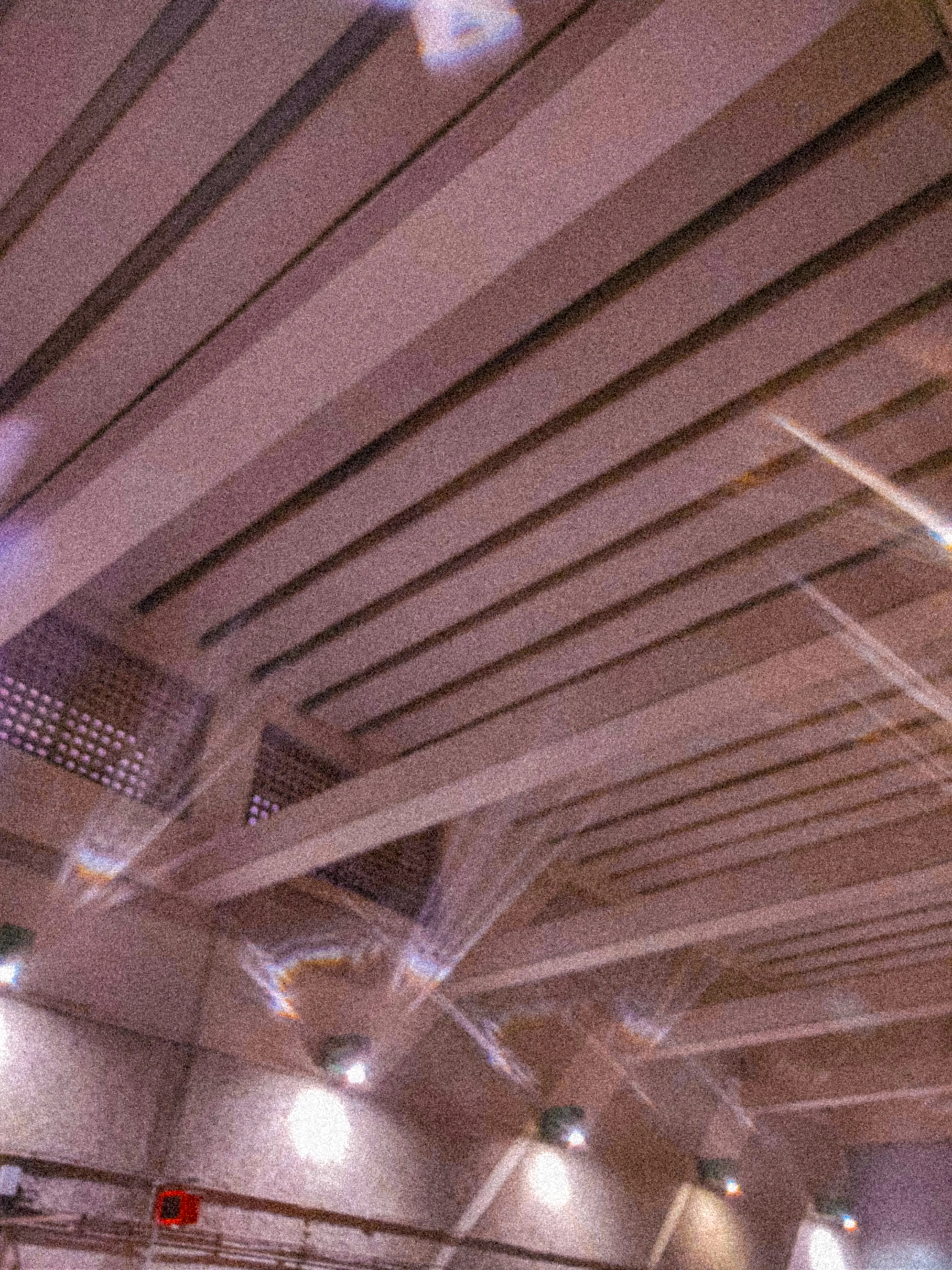 Descripción de la foto