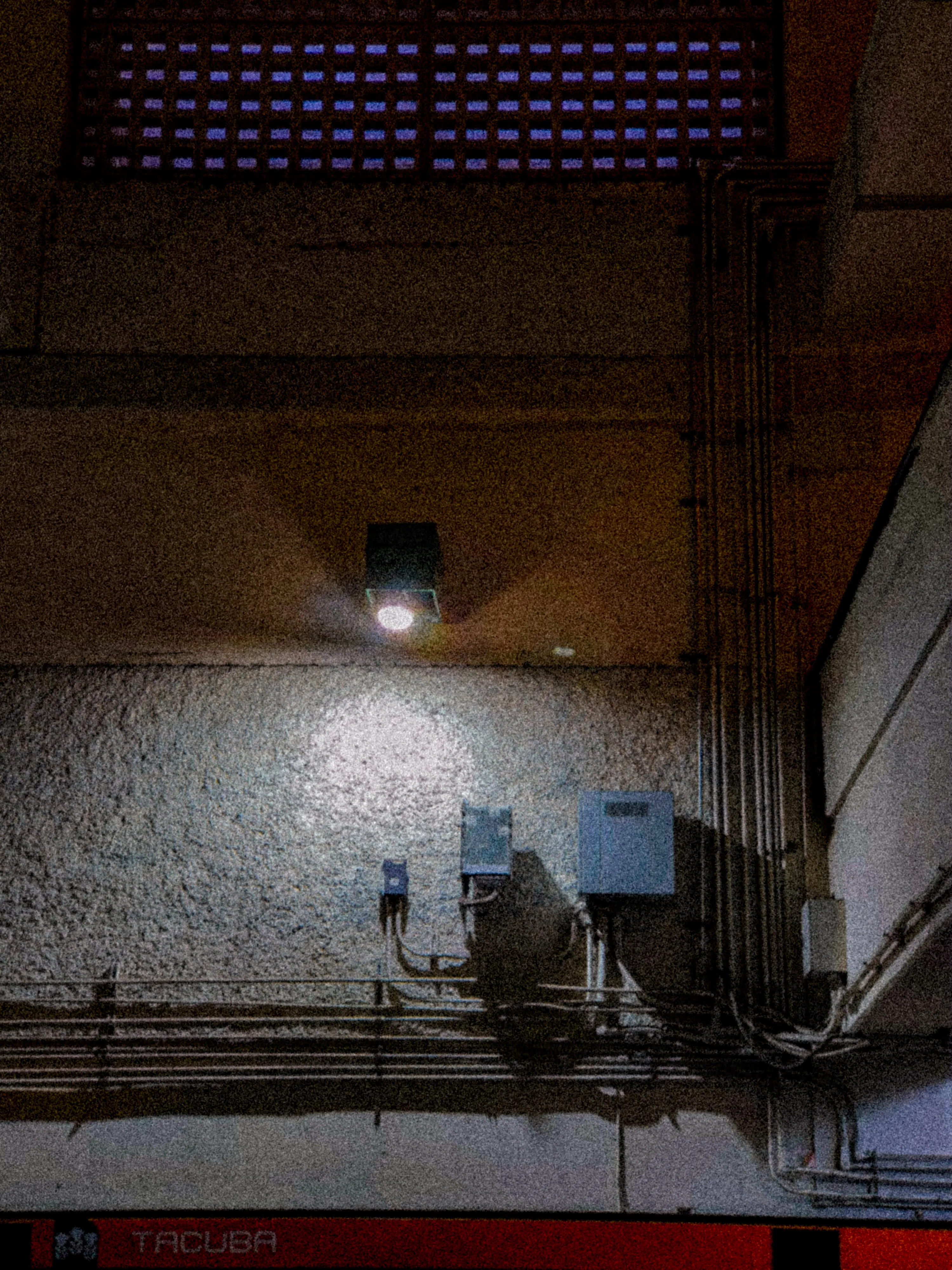 Descripción de la foto