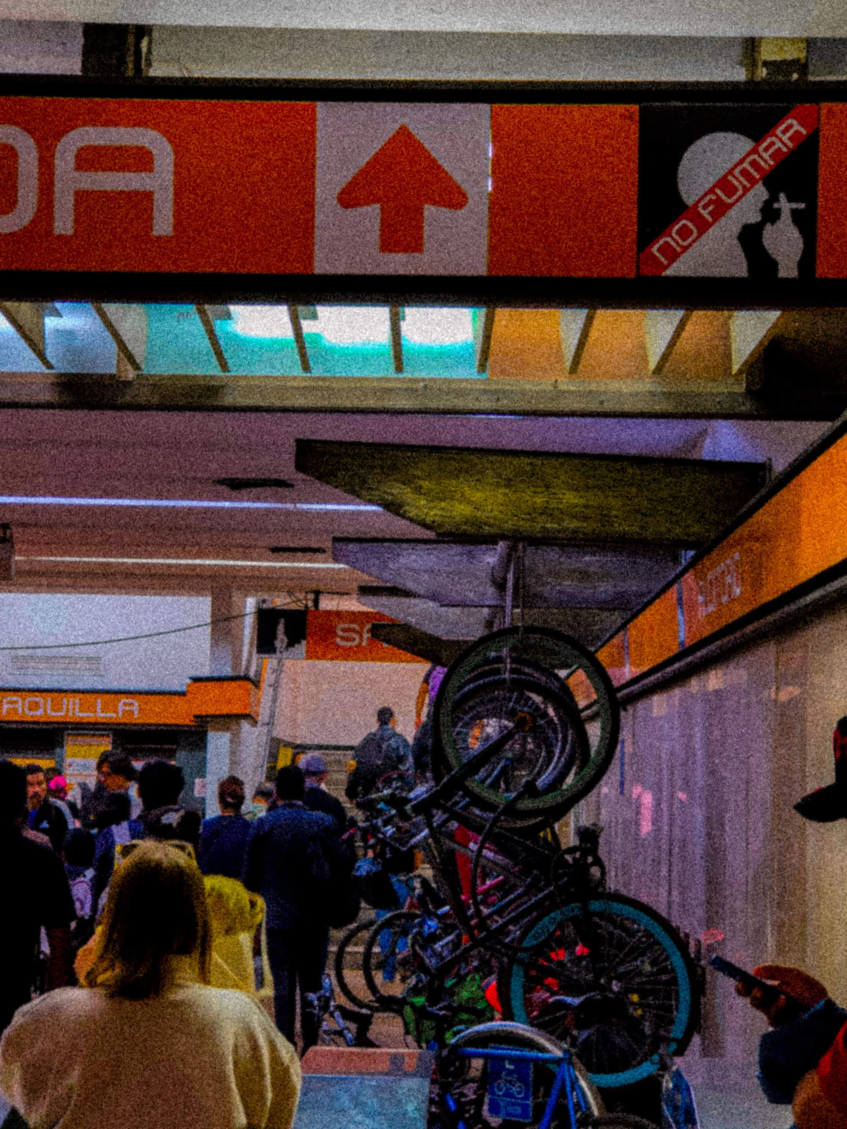 Descripción de la foto