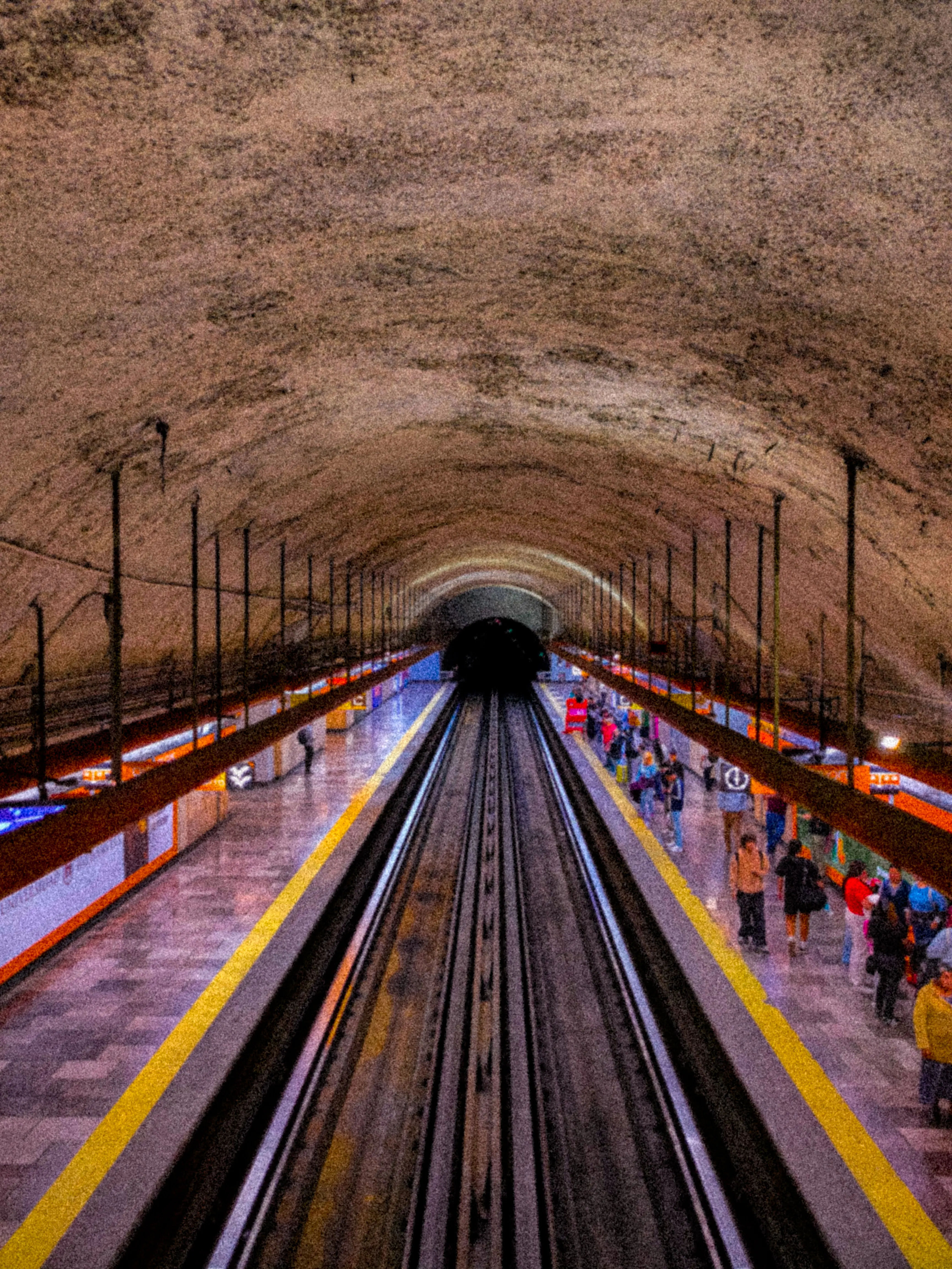 Descripción de la foto